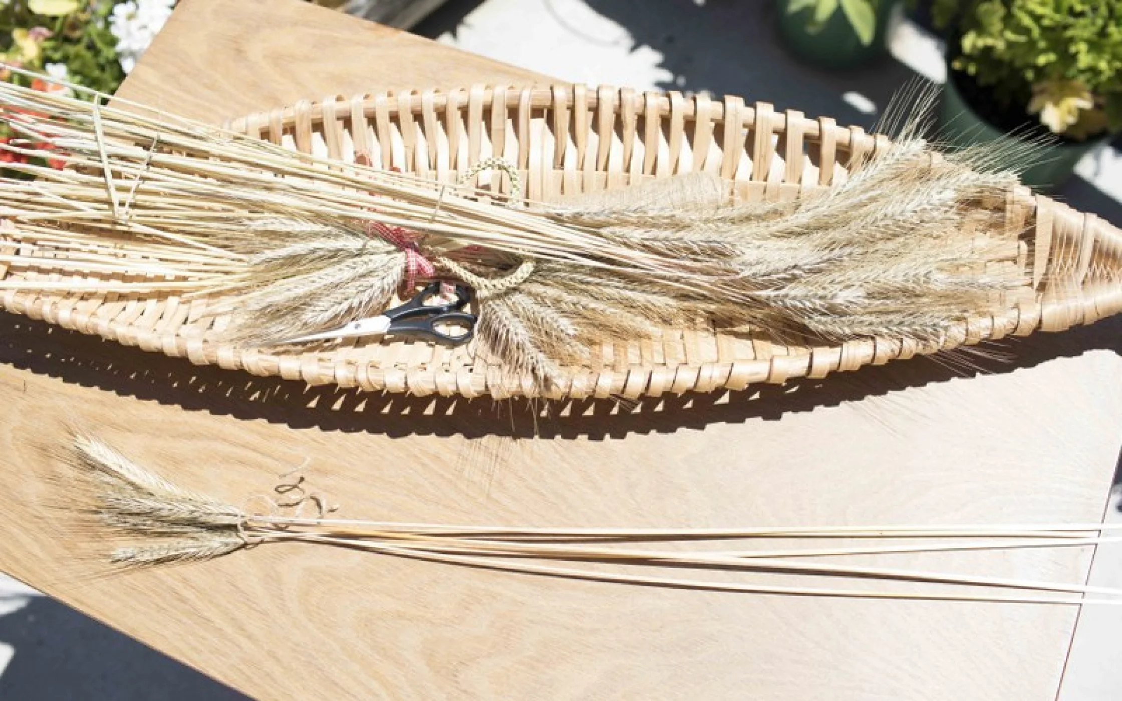 Bild1 Strohherz_MathildeWieserarminhuber_2017 3_800x533.jpg